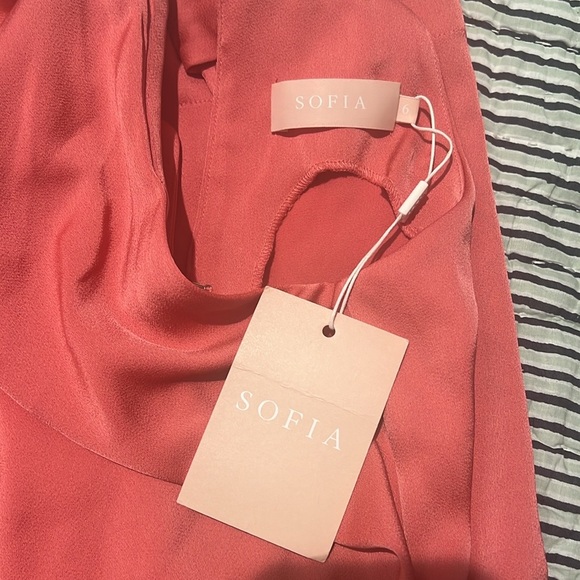 NWT Sofia “Amelie” Satin Dress in “Desert Rose” - Picture 2 of 6